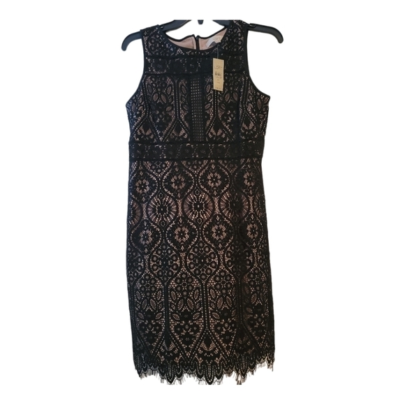 LOFT Dresses & Skirts - SEXY New Women's Loft Dress